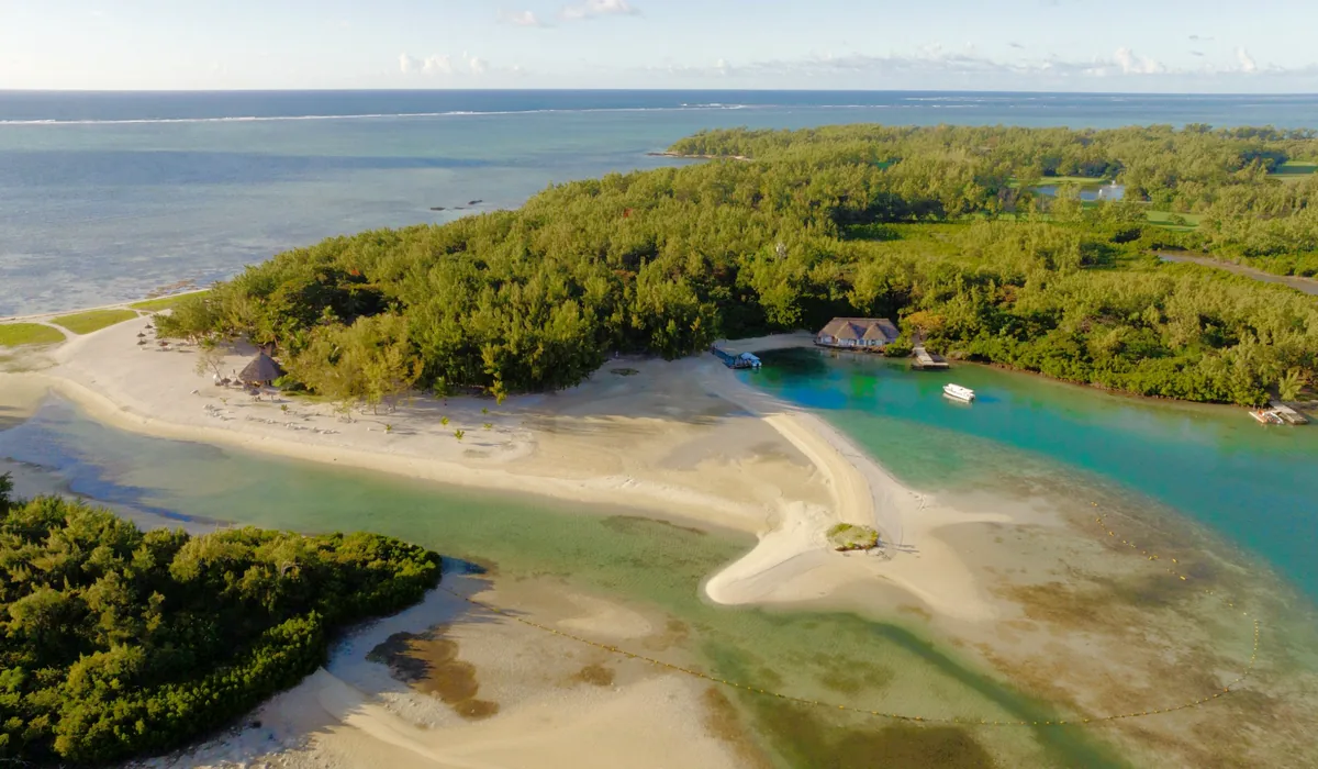 Île aux Cerfs : l’Eco-Park prend racine